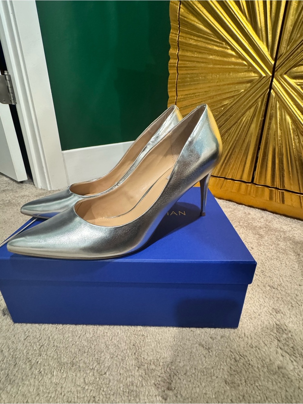 Steve Madden Metallic Silver Pointed-Toe Stiletto Pumps